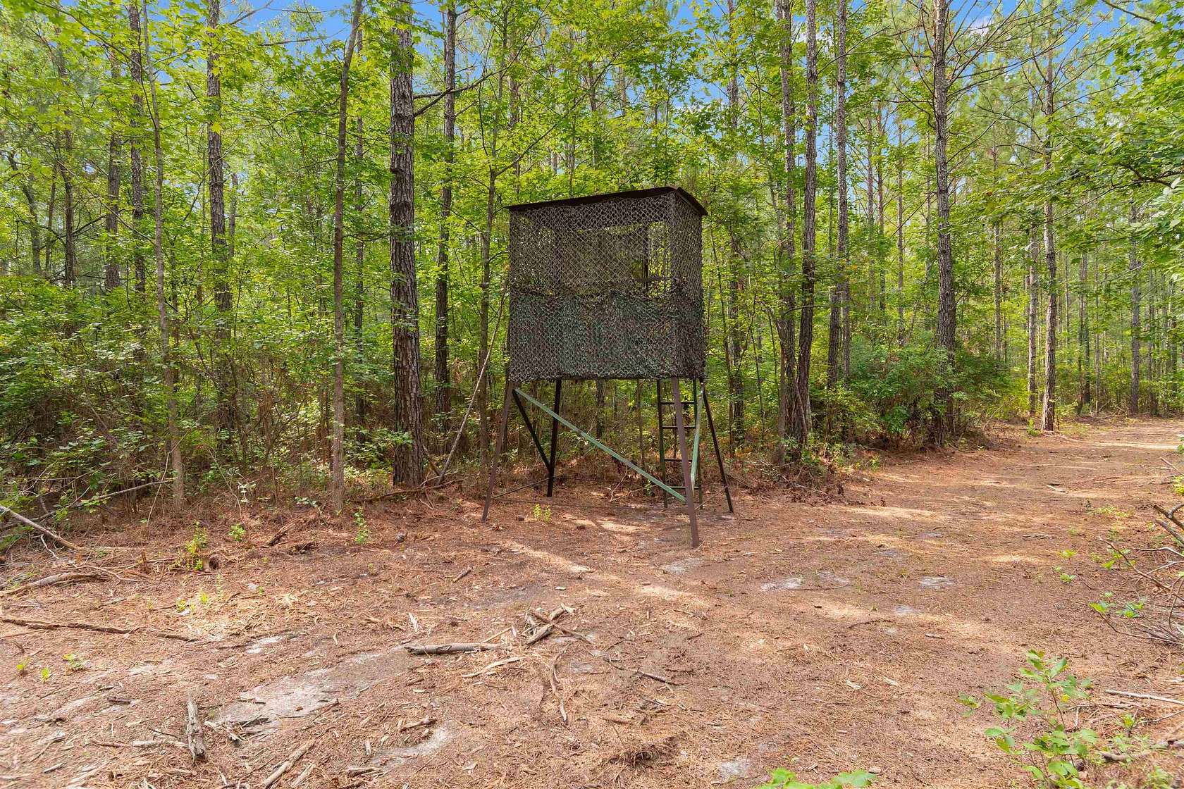 156 Acres of Recreational & Residential Land for Sale in Lake City, South Carolina