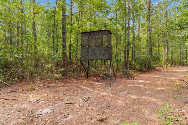 156 Acres of Recreational & Residential Land for Sale in Lake City, South Carolina