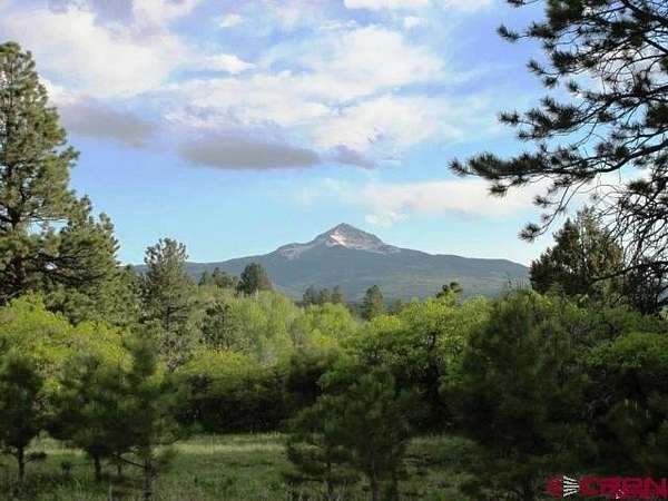 37.2 Acres of Recreational & Residential Land for Sale in Placerville, Colorado