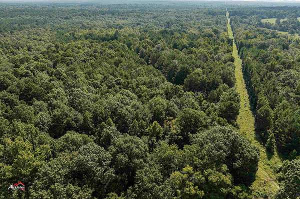 19.5 Acres of Recreational & Residential Land for Sale in Marshall, Texas