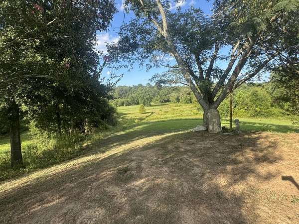 24.8 Acres of Agricultural Land with Home for Sale in Noble, Louisiana