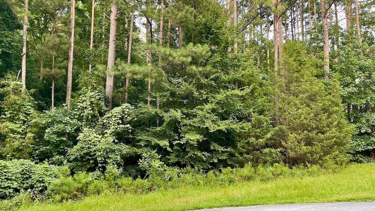 Land for Auction in Hodges, South Carolina