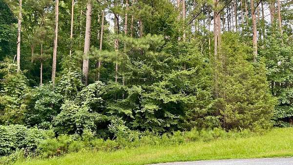 Land for Auction in Hodges, South Carolina