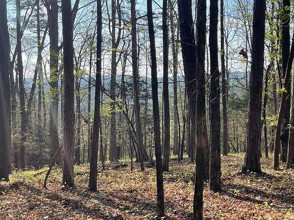 4.49 Acres of Residential Land for Sale in Cave Spring, Georgia