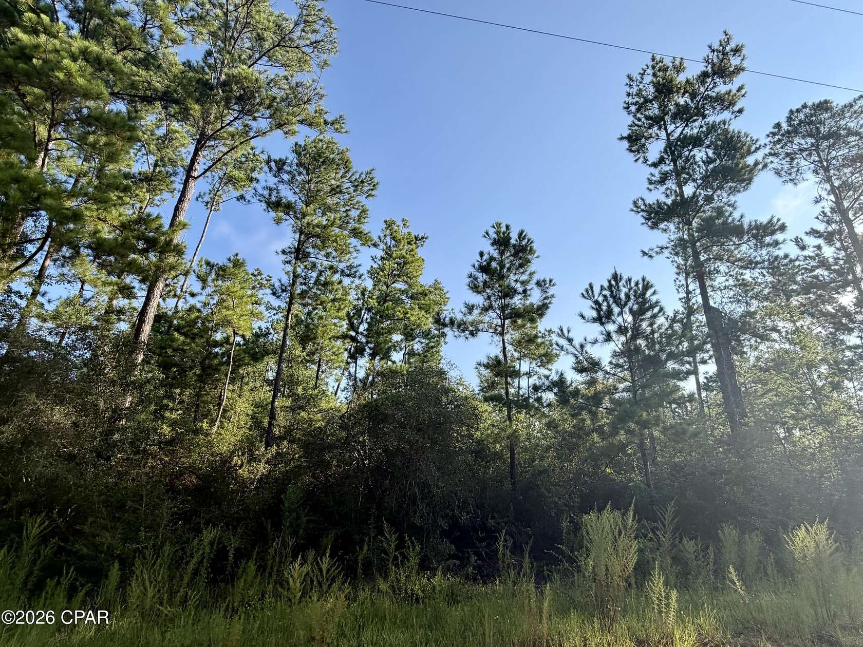 1.16 Acres of Residential Land for Sale in Alford, Florida