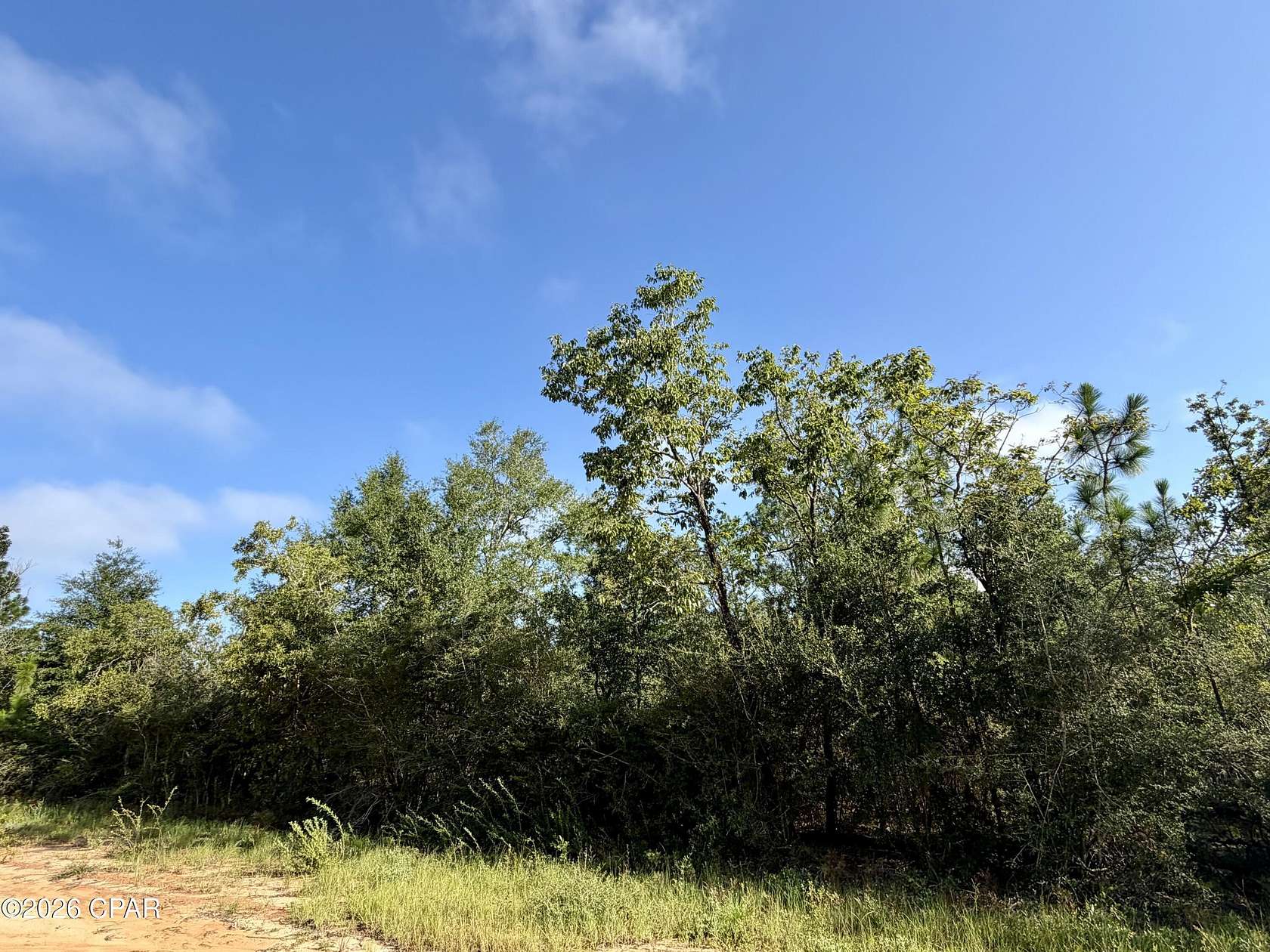 2.5 Acres of Residential Land for Sale in Alford, Florida