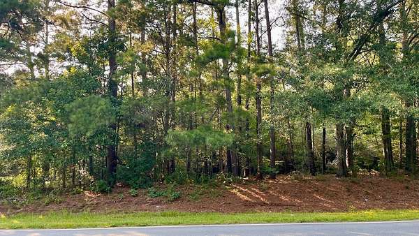 Land for Sale in Bradley, South Carolina