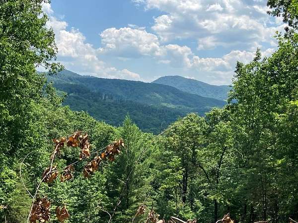1 Acre of Residential Land for Sale in Murphy, North Carolina