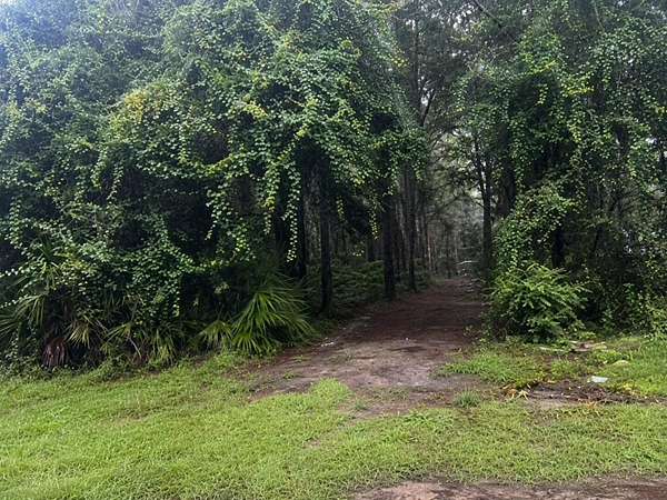 0.7 Acres of Residential Land for Sale in Trenton, Florida