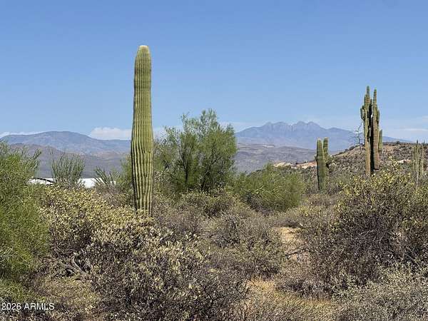 1 Acre of Residential Land for Sale in Rio Verde, Arizona