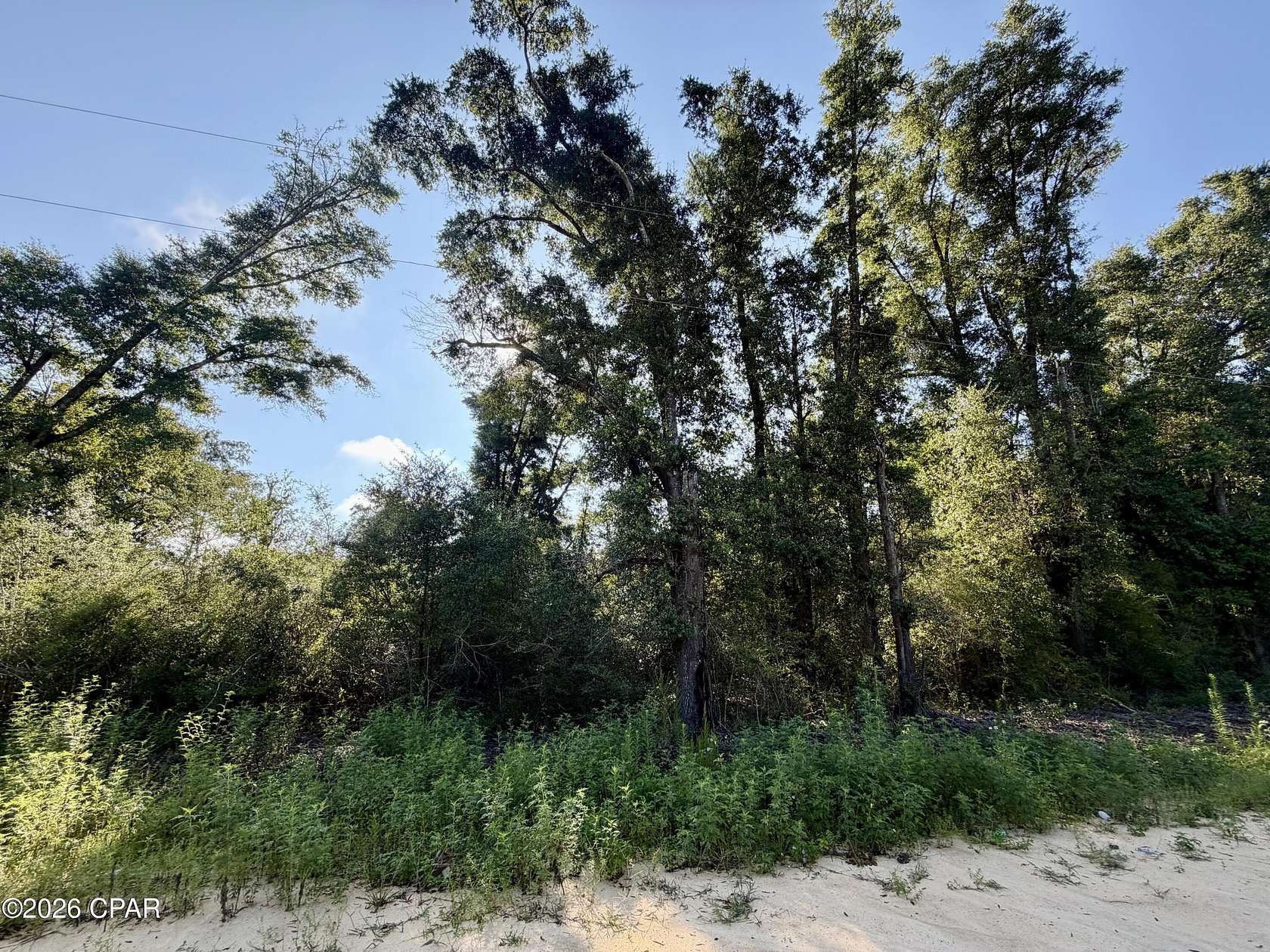 3.6 Acres of Residential Land for Sale in Alford, Florida