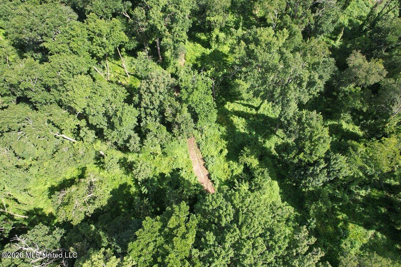 140 Acres of Land for Sale in St. Francisville, Louisiana