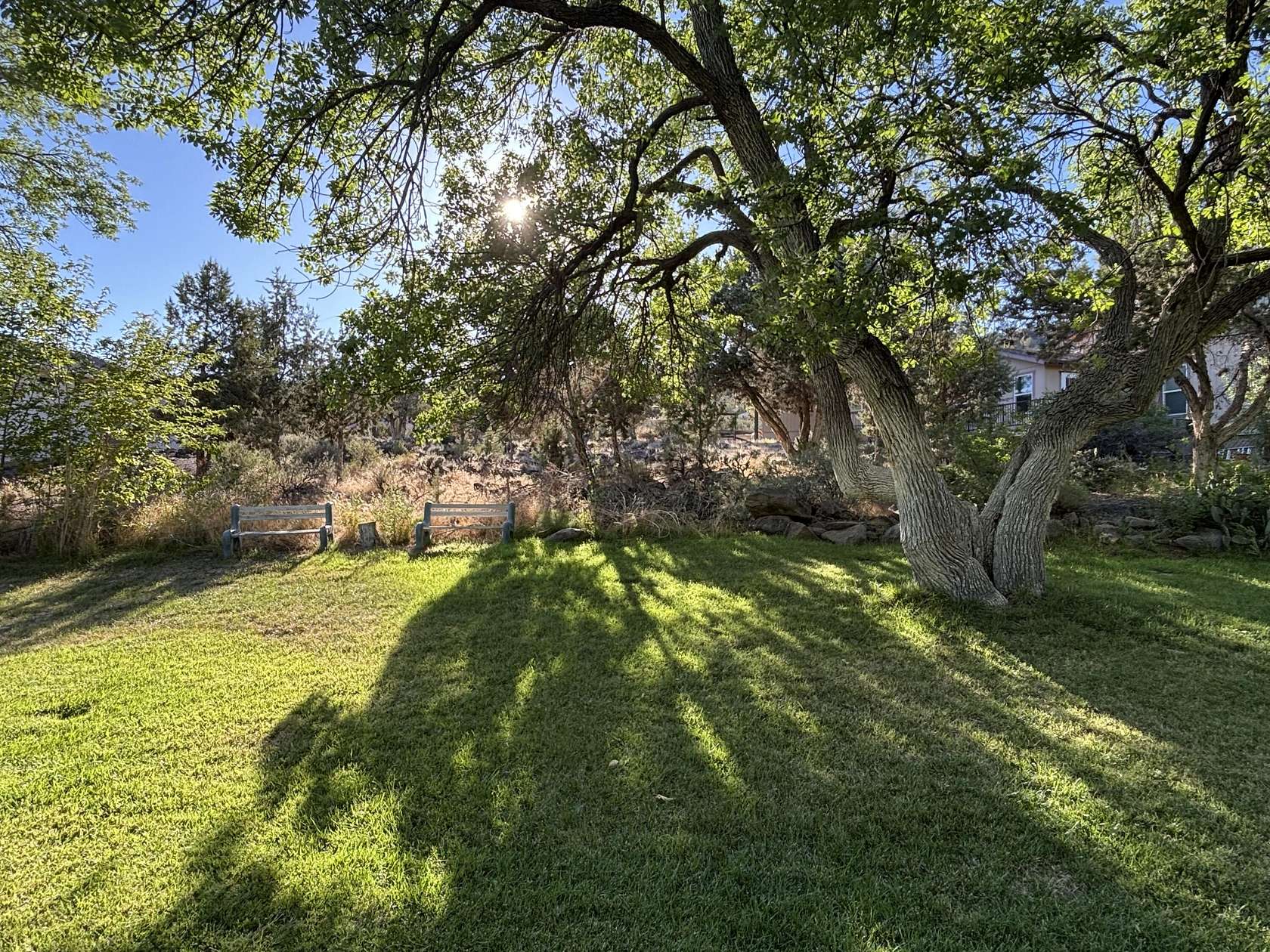 0.66 Acres of Residential Land for Sale in Veyo, Utah