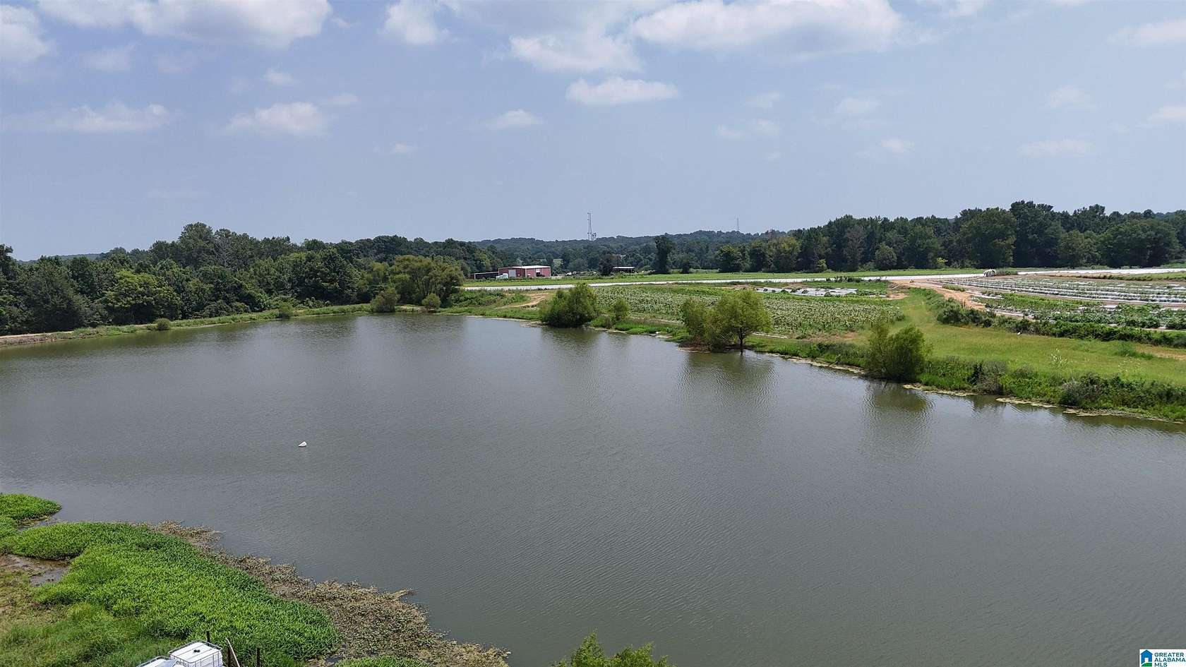 50 Acres of Recreational & Residential Land for Sale in Steele, Alabama