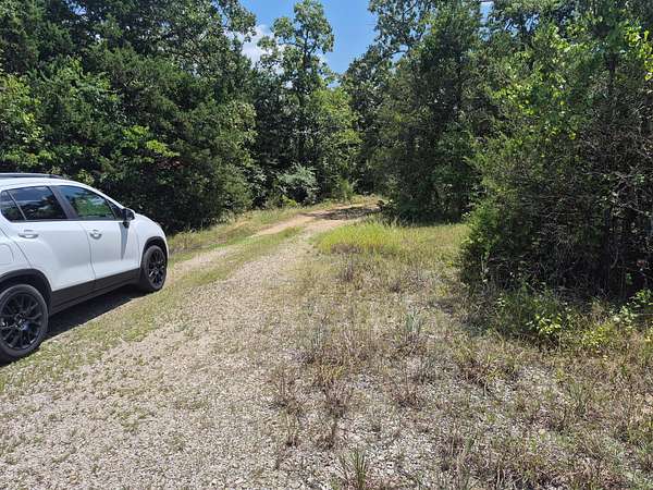 0.55 Acres of Residential Land for Sale in Protem, Missouri