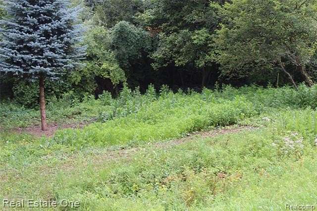 0.41 Acres of Residential Land for Sale in Butman Township, Michigan