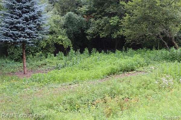 0.41 Acres of Residential Land for Sale in Butman Township, Michigan