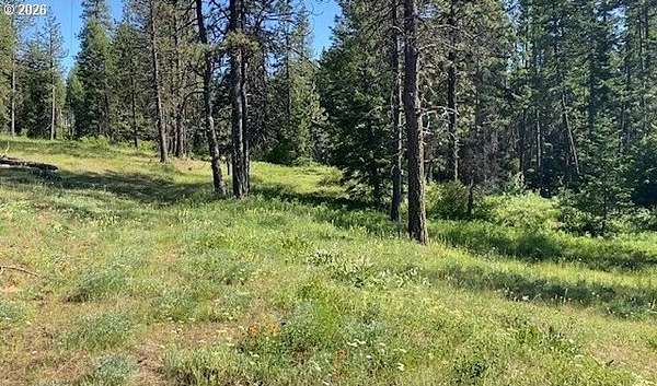 5 Acres of Land for Sale in Meacham, Oregon