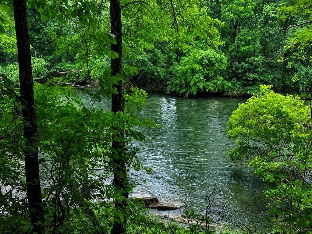 237 Acres of Land for Sale in Ware Shoals, South Carolina