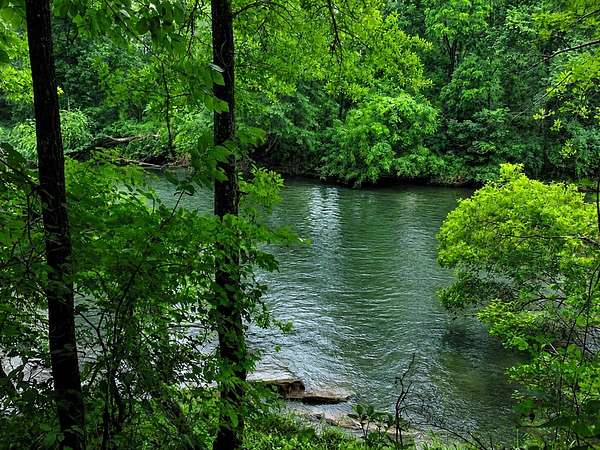 237 Acres of Land for Sale in Ware Shoals, South Carolina
