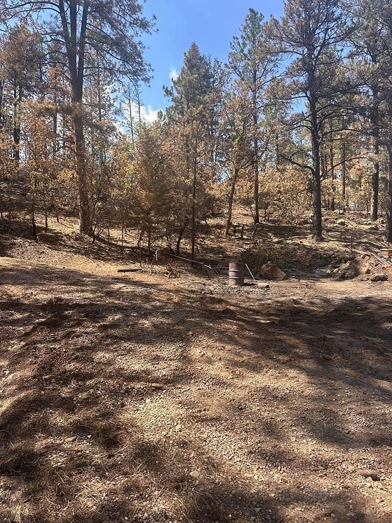 0.22 Acres of Land for Sale in Beulah, Colorado
