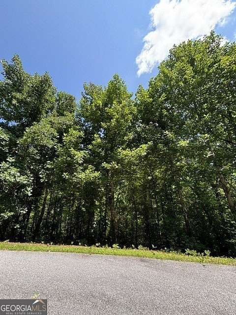 0.37 Acres of Residential Land for Sale in Clayton, Georgia