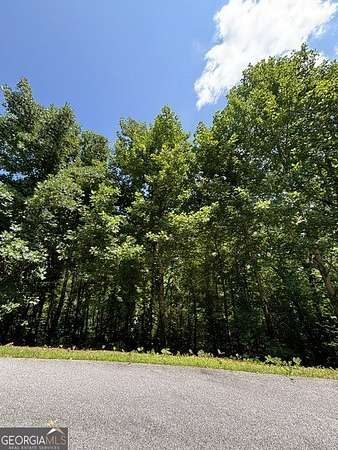 0.37 Acres of Residential Land for Sale in Clayton, Georgia