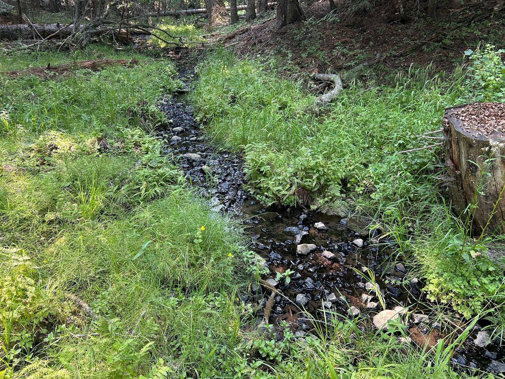 1.2 Acres of Land for Sale in Grangeville, Idaho
