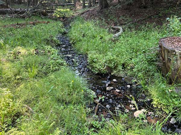 1.2 Acres of Land for Sale in Grangeville, Idaho