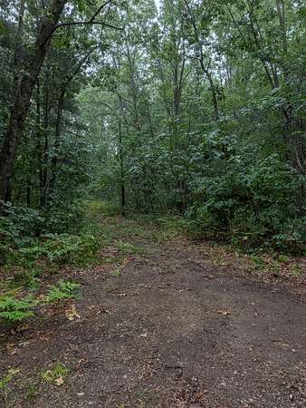2.85 Acres of Residential Land for Sale in Rockford, Michigan