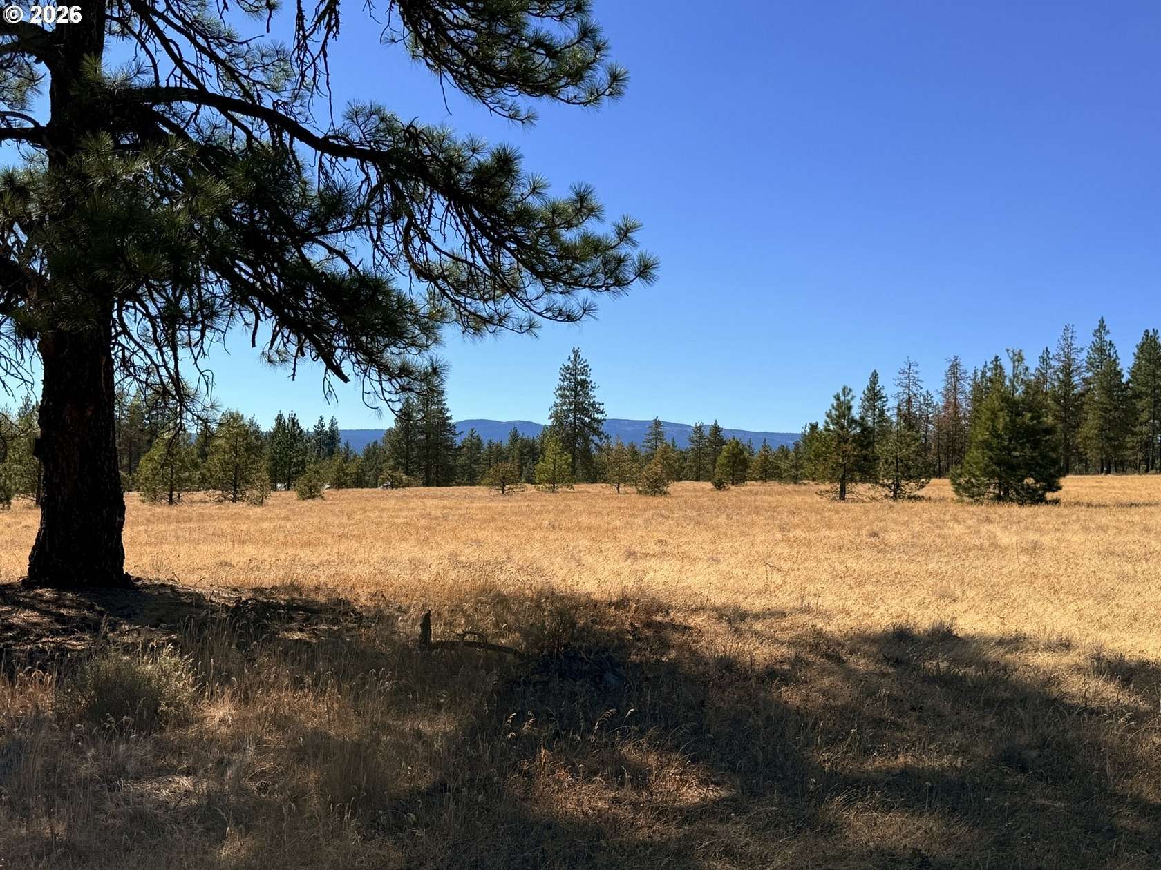5 Acres of Land for Sale in Goldendale, Washington