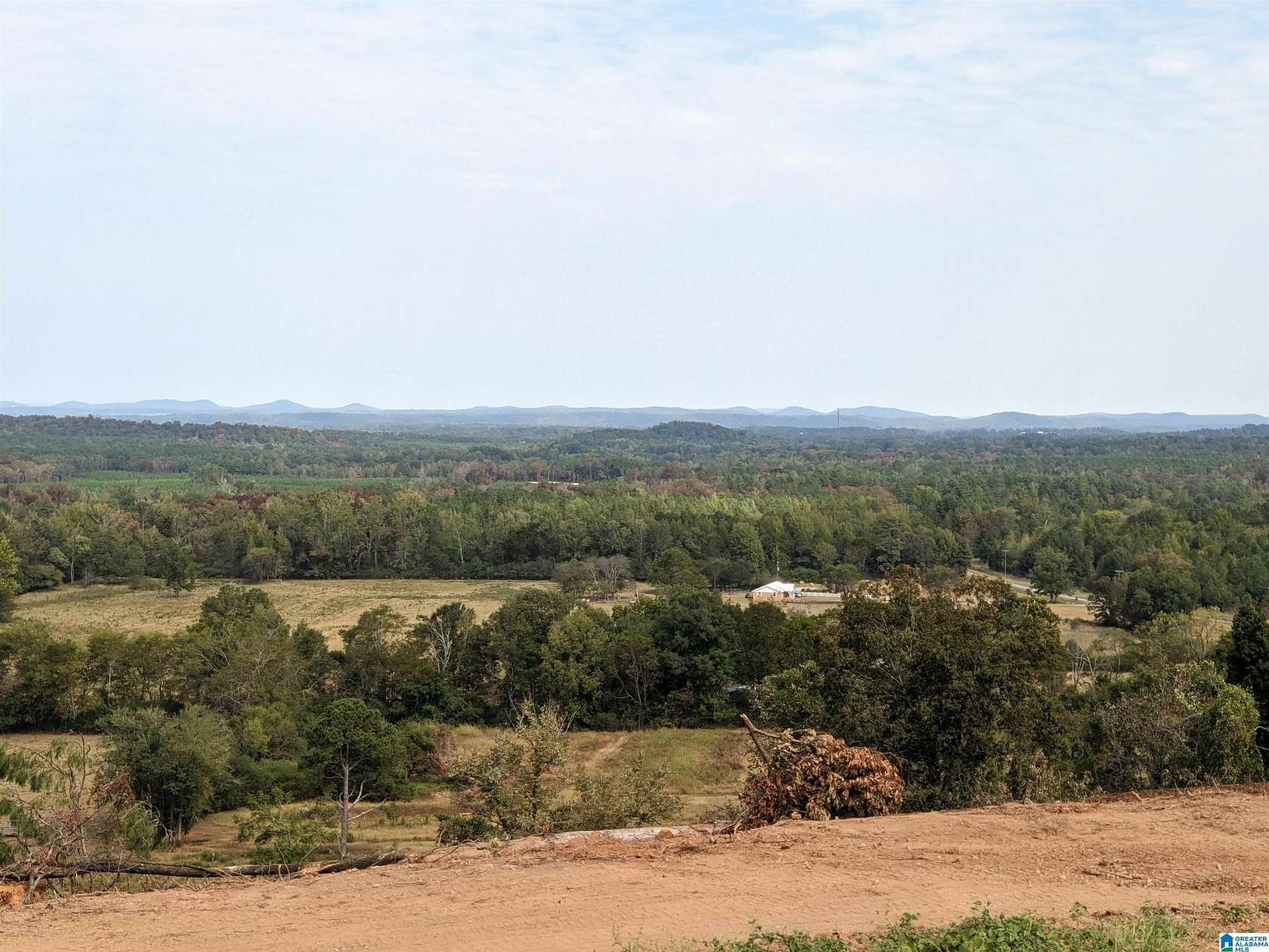 20 Acres of Recreational & Residential Land for Sale in Lincoln, Alabama