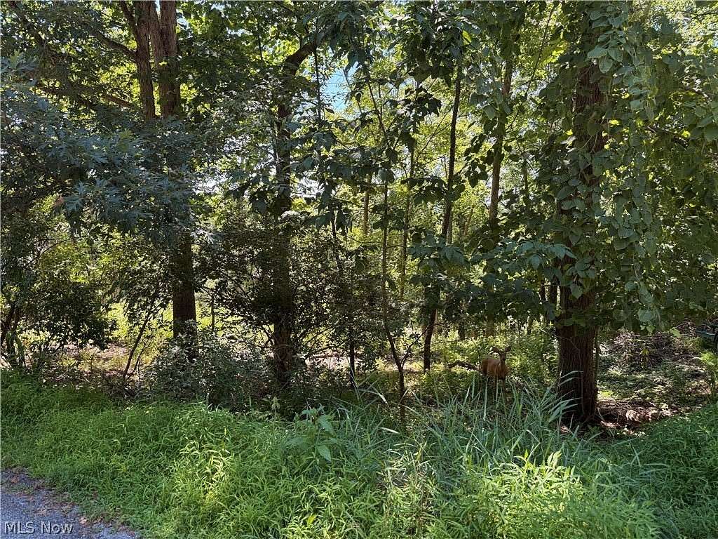 0.37 Acres of Residential Land for Sale in Malvern, Ohio