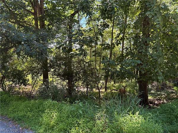 0.37 Acres of Residential Land for Sale in Malvern, Ohio