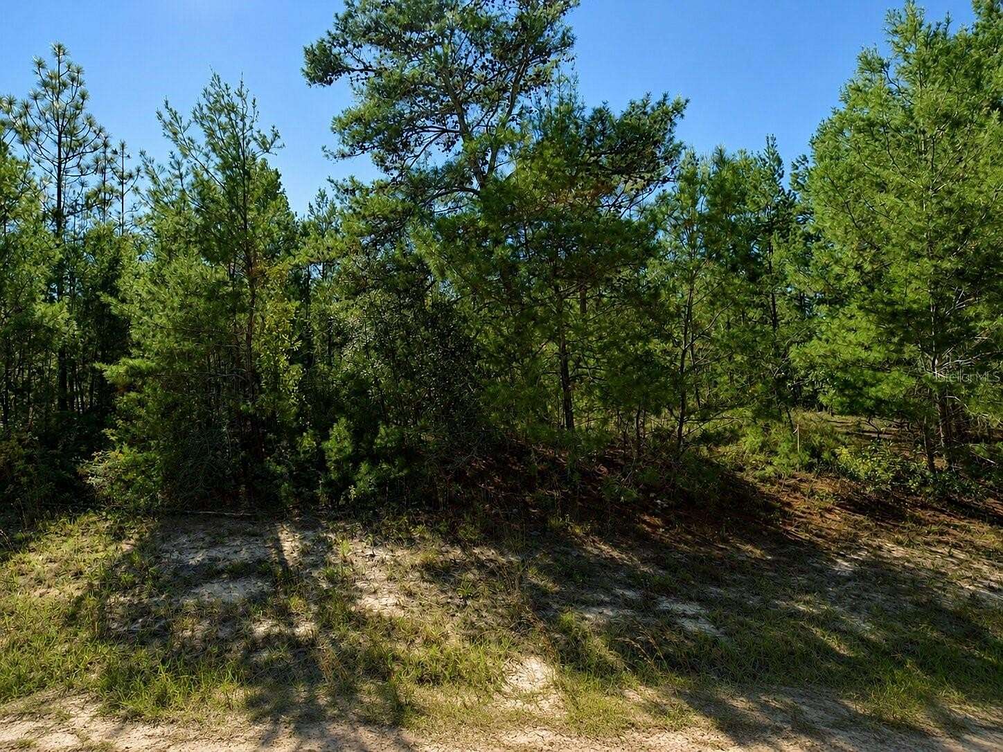 0.23 Acres of Residential Land for Sale in Chipley, Florida