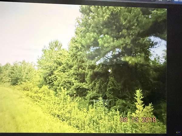 48.4 Acres of Land for Sale in Roberta, Georgia