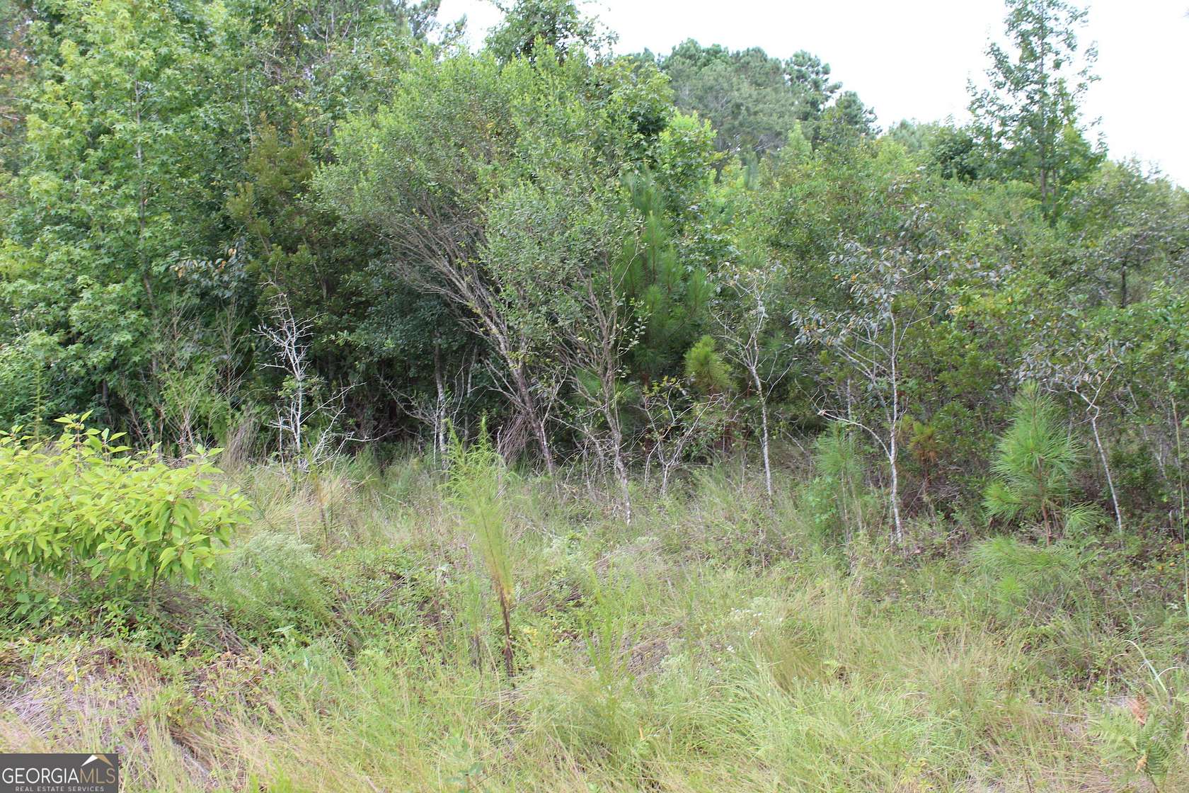 7.33 Acres of Land for Sale in Ashburn, Georgia