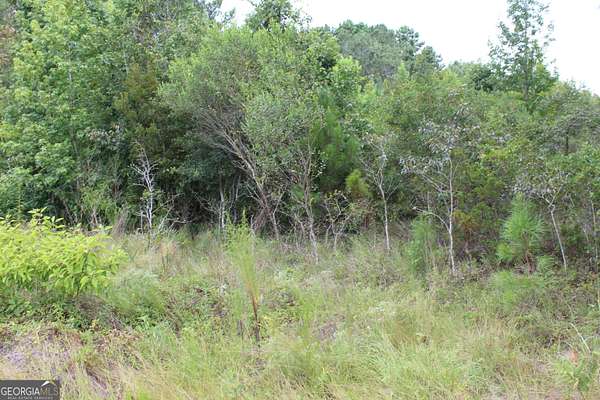 7.33 Acres of Land for Sale in Ashburn, Georgia