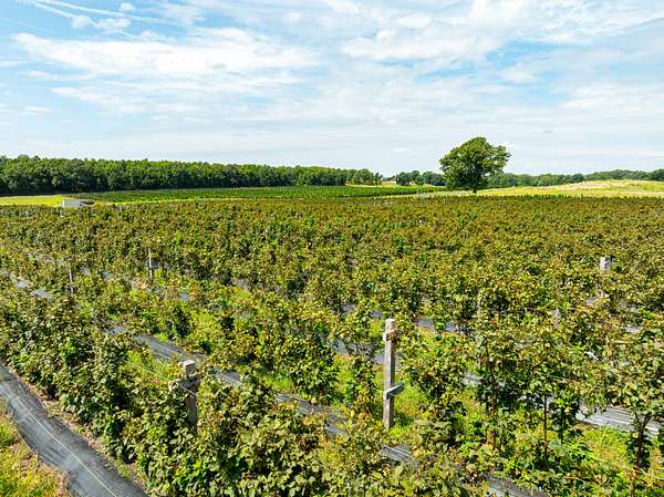 53 Acres of Land for Sale in Sherwood, Arkansas