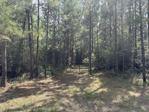 52 Acres of Recreational Land for Sale in Beaumont, Mississippi