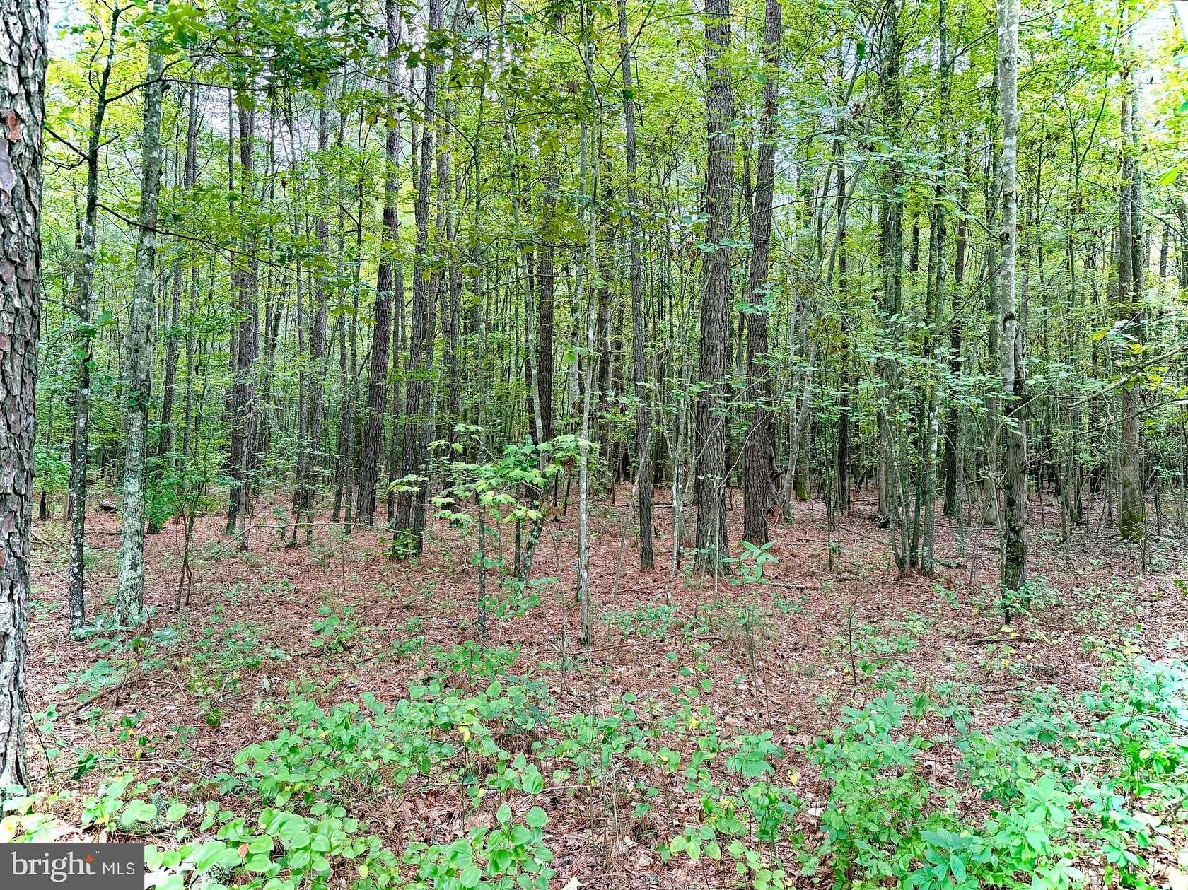 8.7 Acres of Land for Sale in Princess Anne, Maryland