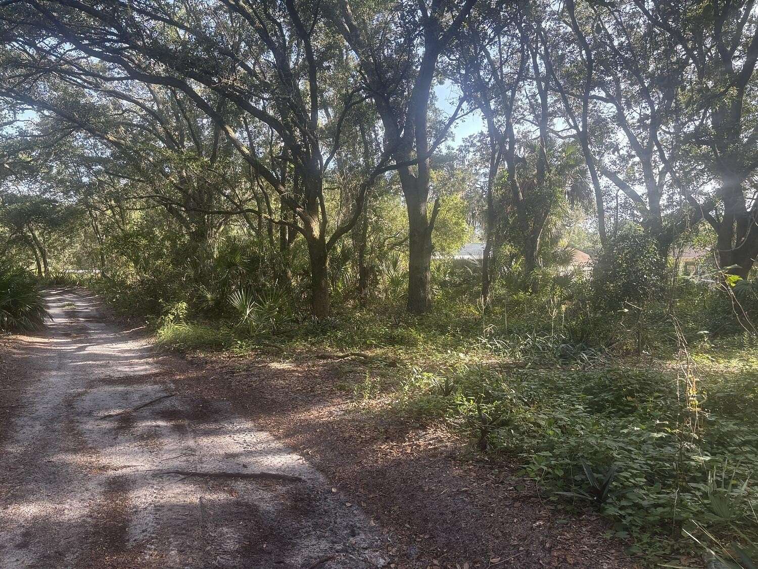 0.26 Acres of Residential Land for Sale in Lake Placid, Florida