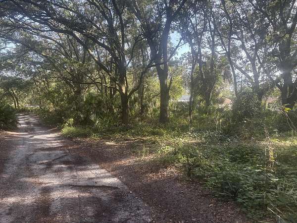 0.26 Acres of Residential Land for Sale in Lake Placid, Florida
