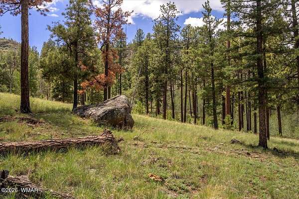 1 Acre of Residential Land for Sale in Greer, Arizona