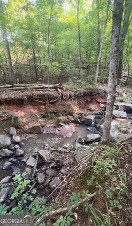 109 Acres of Recreational & Residential Land for Sale in Yatesville, Georgia