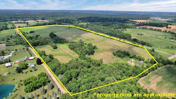 71.6 Acres of Land for Sale in Manchester, Michigan