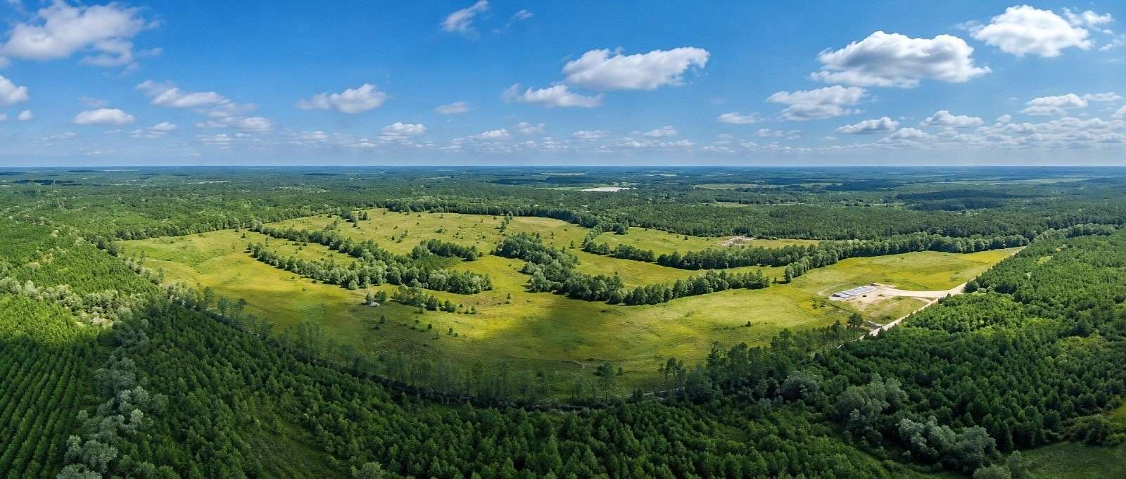 241 Acres of Recreational Land for Auction in Alapaha, Georgia
