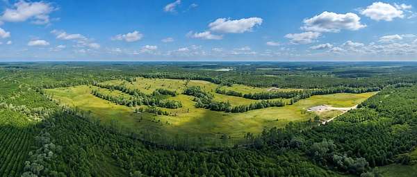 241 Acres of Recreational Land for Auction in Alapaha, Georgia