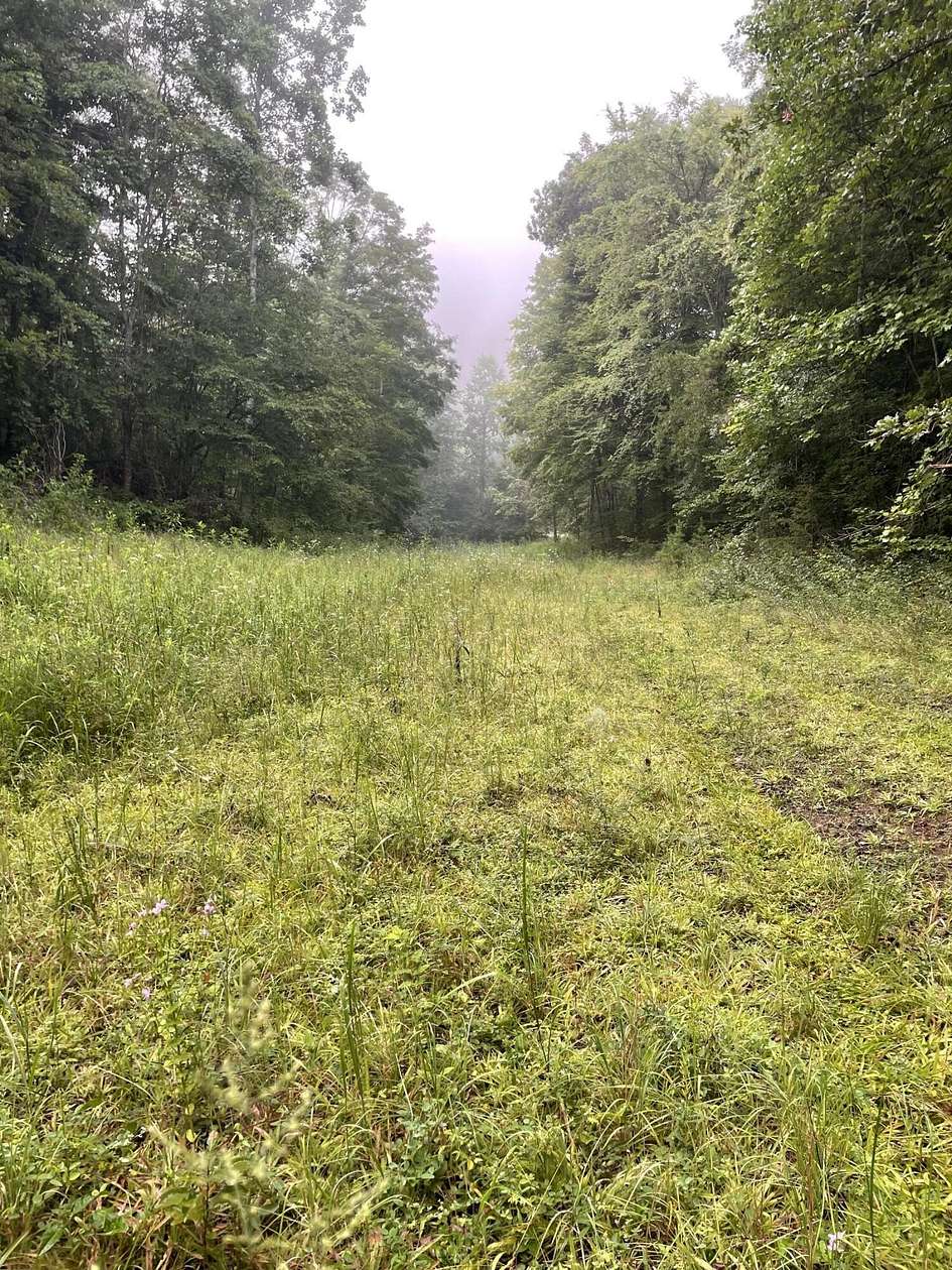 26 Acres of Land for Sale in Thorn Hill, Tennessee