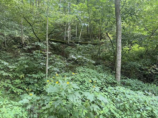 5.44 Acres of Residential Land for Sale in Sevierville, Tennessee